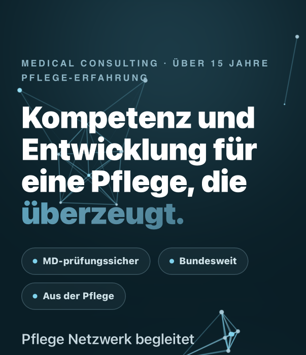 Vorschau der Pflege Netzwerk Website